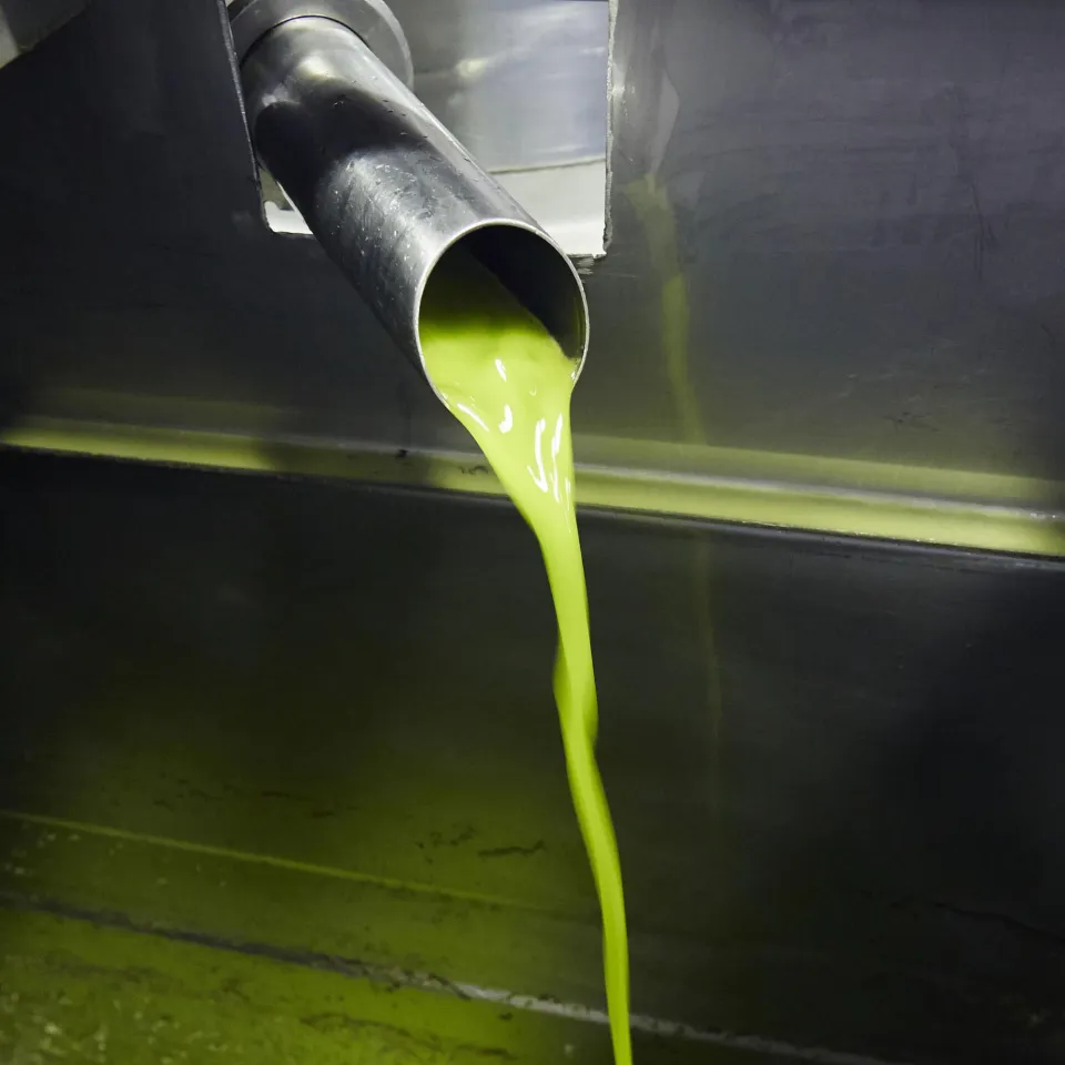 Bittergreen Squeeze